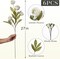 6 PCS Artificial Peony Flowers with Long Stems, Faux Silk Peony Branches for Vase, 27" Cream Fake Peonies Bulk for DIY Bouquets, Wedding Centerpieces, Home Decor, Bridal Shower Decorations